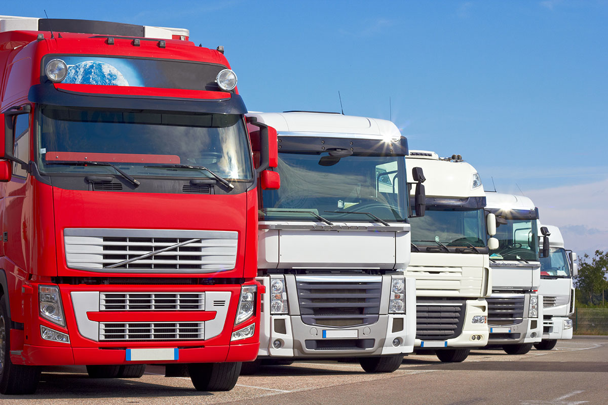 Global Shipping
